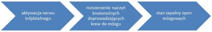 nerw_trojdzielny